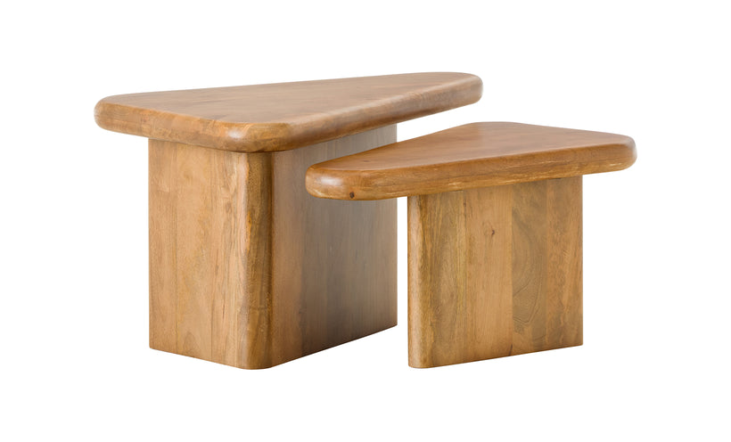 Sansa Coffee Table (Set of 2)